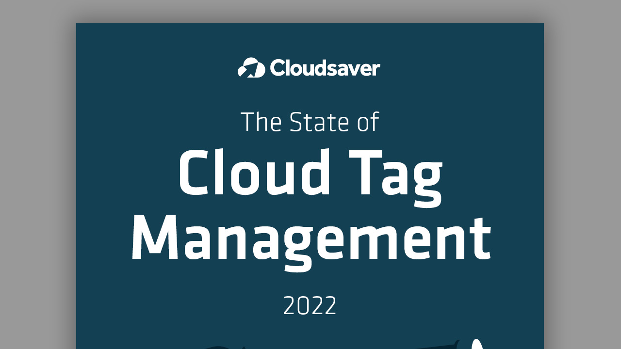 The State of Cloud Tag Management 2022