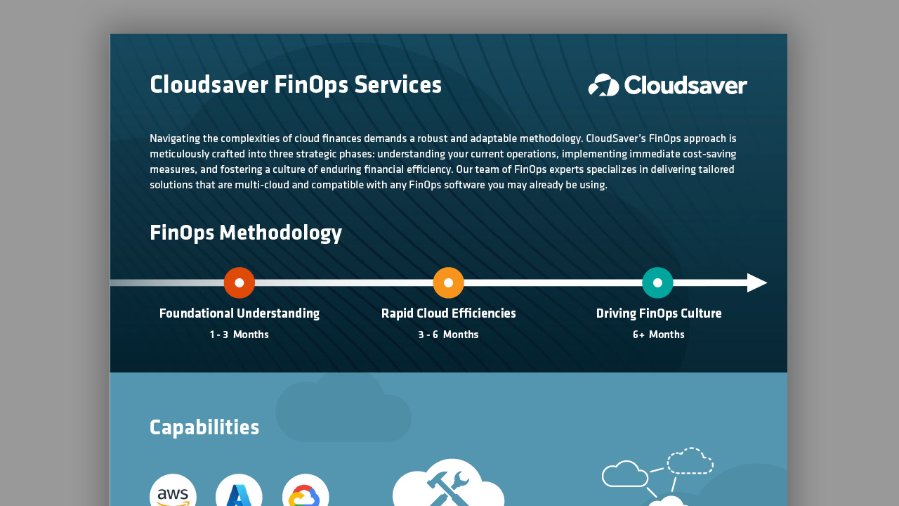 Cloudsaver FinOps Services